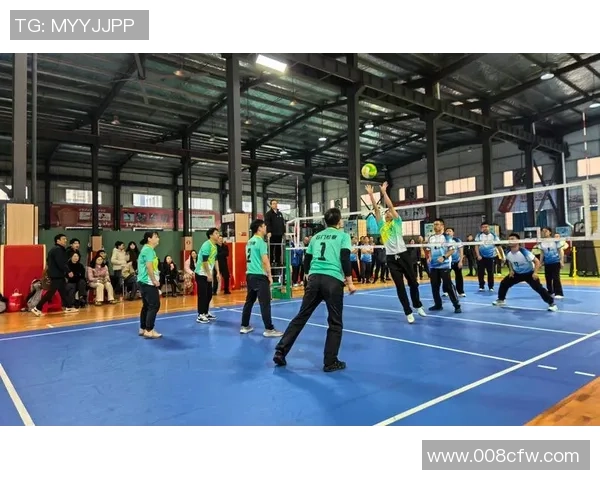 重庆排球队的节奏揭秘：排球巨献背后的故事与热情