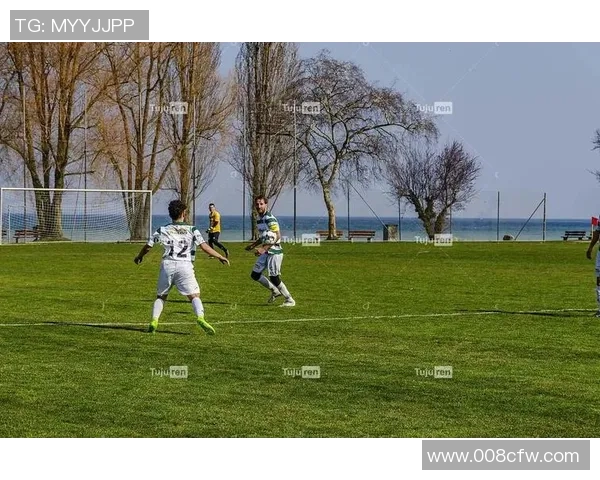 探索阵形足球的战术魅力与团队协作之道